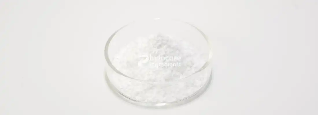 What Makes Hydrogenated Lecithin Powder a Powerful Emulsifier?