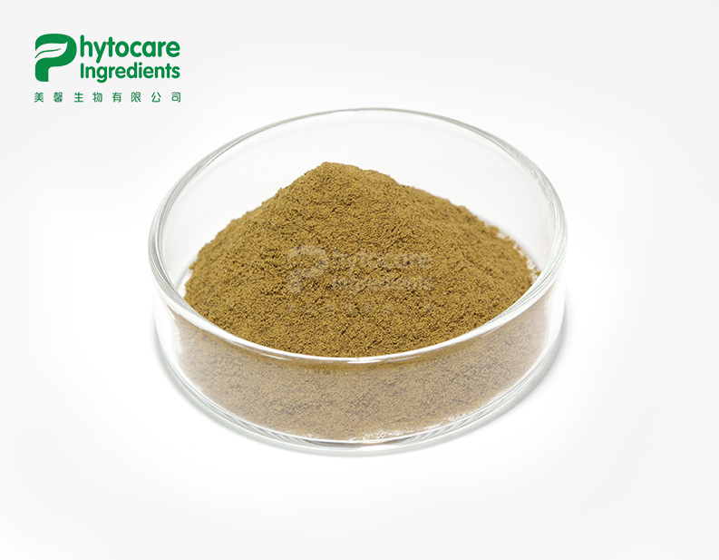 Aloe Vera Extract Powder