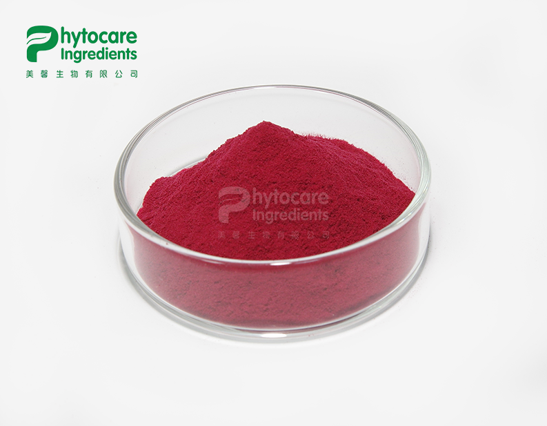 Cranberry Extract Powder
