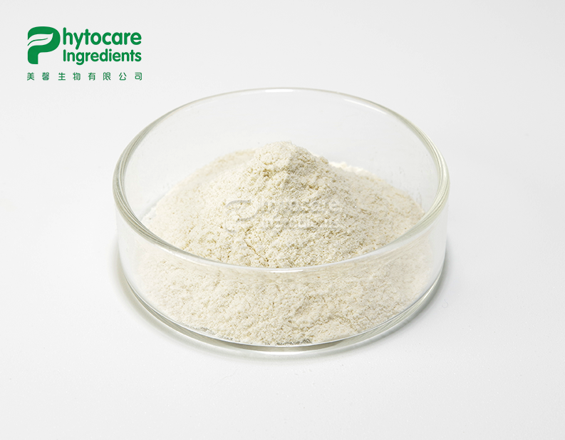 Amylase Powder