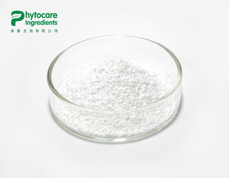 Citicoline Sodium Powder