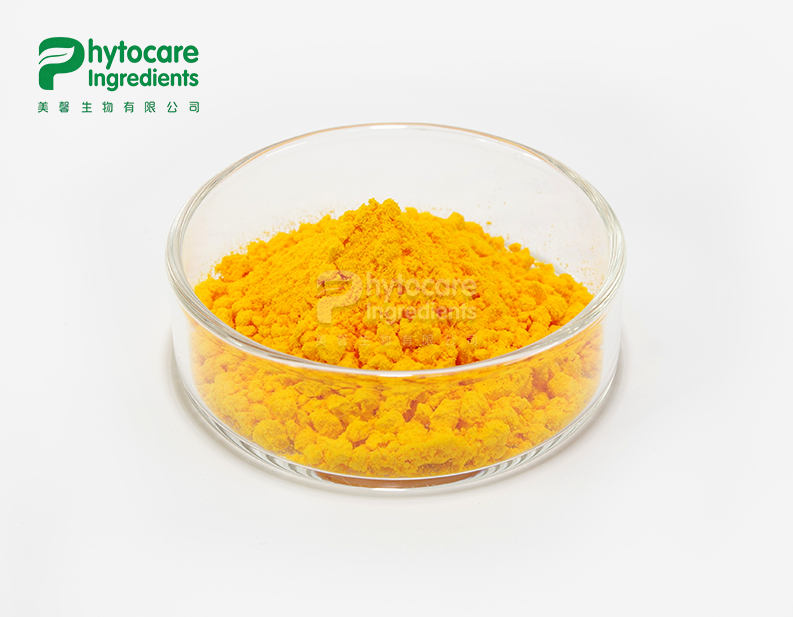 Coenzyme Q10 Powder