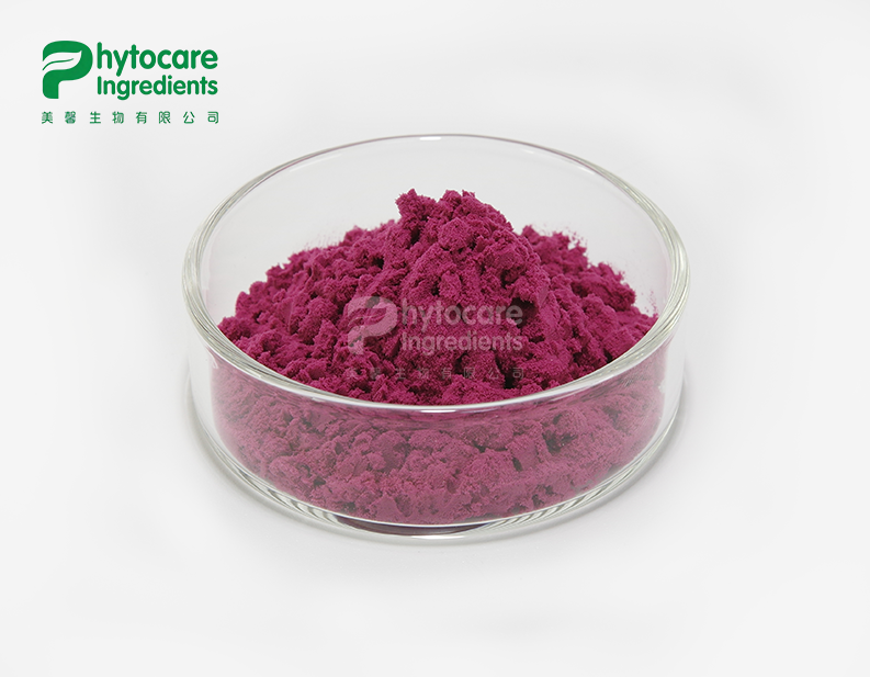 Pulbos ng Dragon Fruit