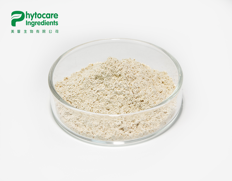 Garcinia Cambogia Extract Powder