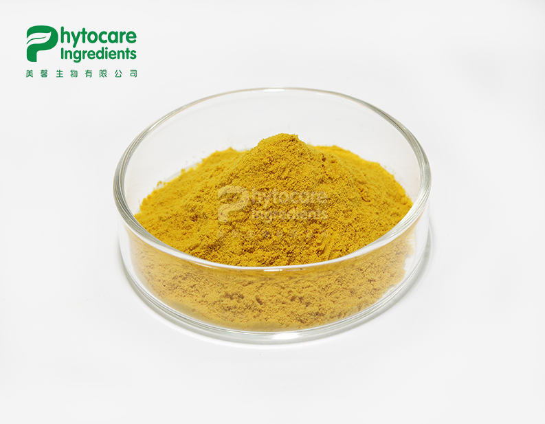 Green Tea Extract Powder