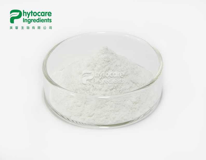 Lipase Powder