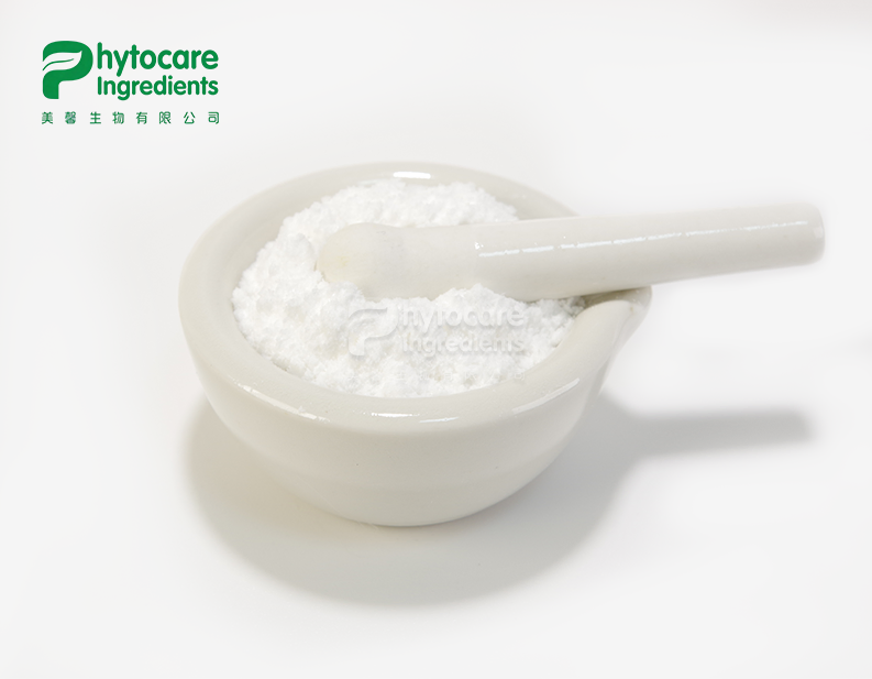 Salicylic Acid Powder